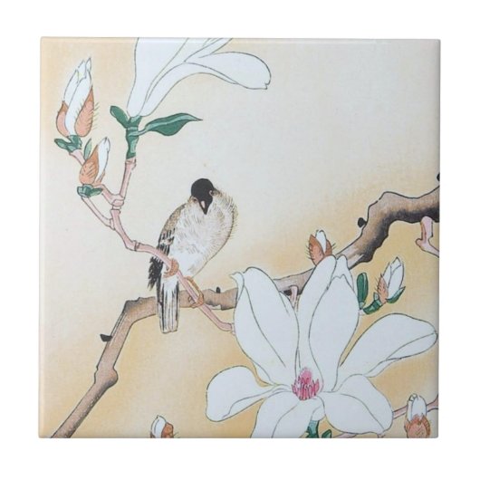 Keramisch, klein (4,25 x 4,25 inch) tegeltje (Voorkant)