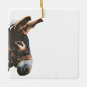 Keramisch Ornament - Donkey (Voorkant)