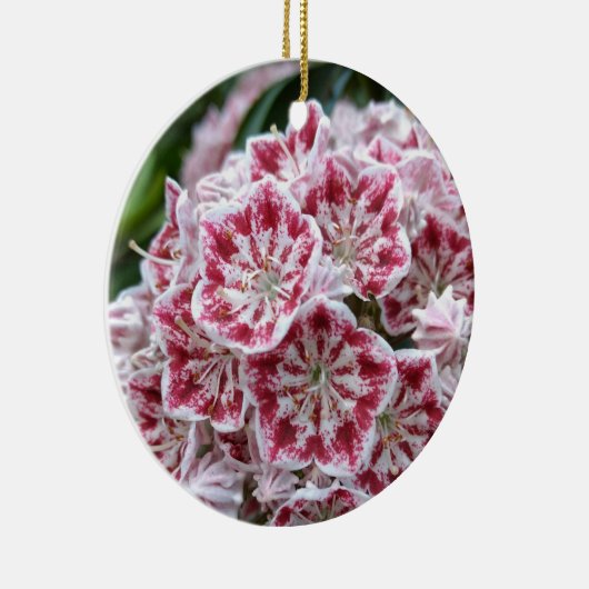 Keramisch ornament met laurel in bergen (Rechts)