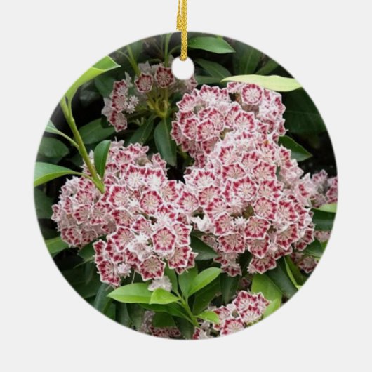 Keramisch ornament met laurel in bergen (Achterkant)