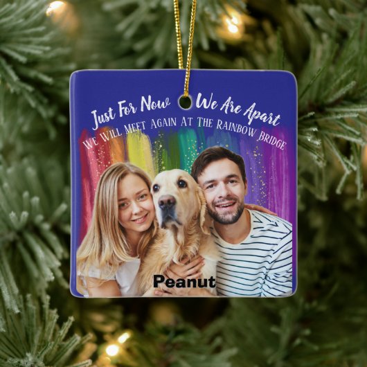 Keramisch Ornament met Pet Memorial Photo Tribute (Boom)