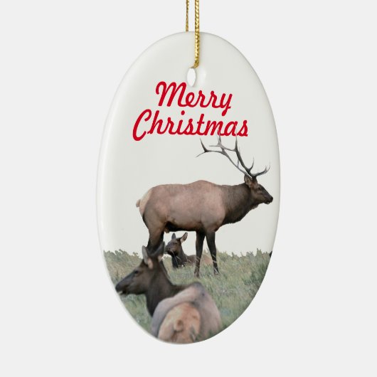 Keramisch ornament van elk (Rechts)