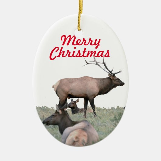 Keramisch ornament van elk (Voorkant)