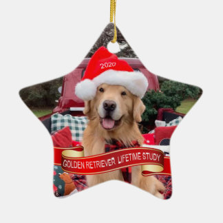 Keramisch siermiddel keramisch ornament