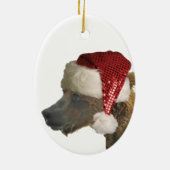 Keramisch siermiddel met grizzly-beren keramisch ornament (Achterkant)