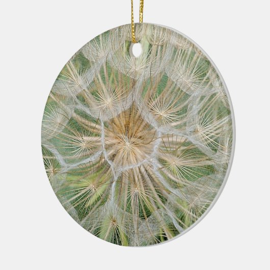 Keramisch siermiddel: schorseneren (Plant van oest Keramisch Ornament (Links)