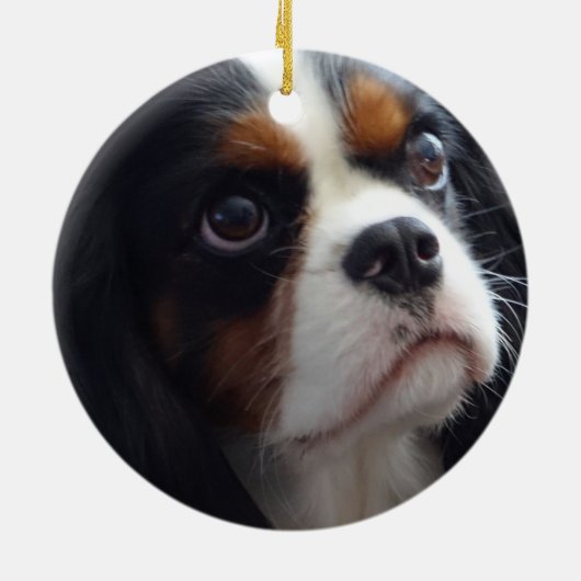 Keramisch versieringsmiddel met driekleurige kaval keramisch ornament (Achterkant)