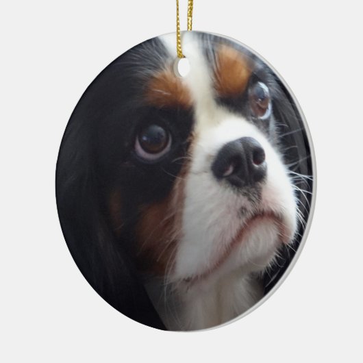 Keramisch versieringsmiddel met driekleurige kaval ornament (Links)