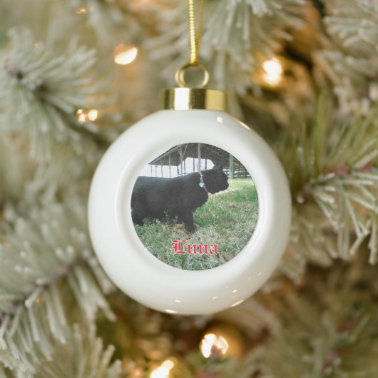 Keramische Bal Custom Cat Ornament (Boom)