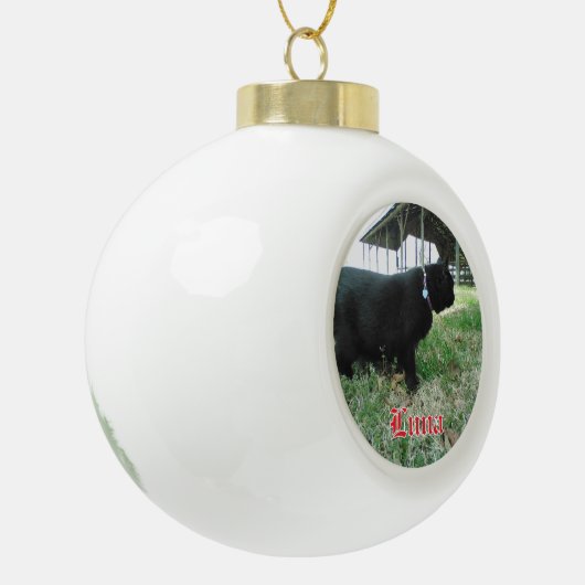 Keramische Bal Custom Cat Ornament (Links)