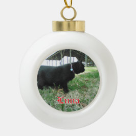 Keramische Bal Custom Cat Ornament