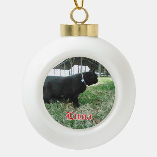 Keramische Bal Custom Cat Ornament (Voorkant)
