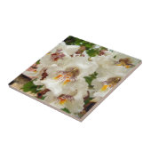 Keramische foto's van Indiase Bean Tree Flowers Tegeltje (Zijkant)