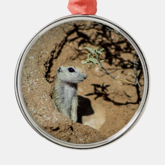 Keramische Grond Eekhoorn Ornament (Voorkant)