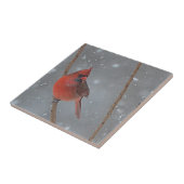 Keramische kardinale Tegel Tegeltje (Zijkant)