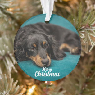 keramische keramische keramische sieraardehond Cut Ornament