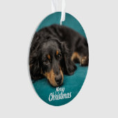 keramische keramische keramische sieraardehond Cut Ornament (voorkant)