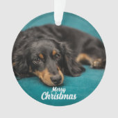 keramische keramische keramische sieraardehond Cut Ornament (voorkant)