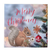 Keramische keramische keramische tegel tegeltje (Voorkant)