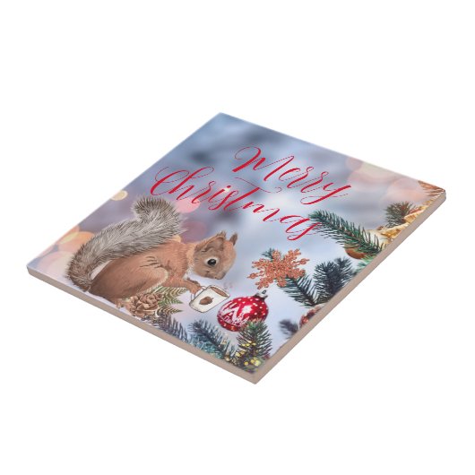 Keramische keramische keramische tegel tegeltje (Zijkant)