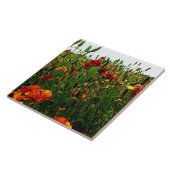 Keramische keramische tegels: Bloervelden, Carlsba Tegeltje (Zijkant)