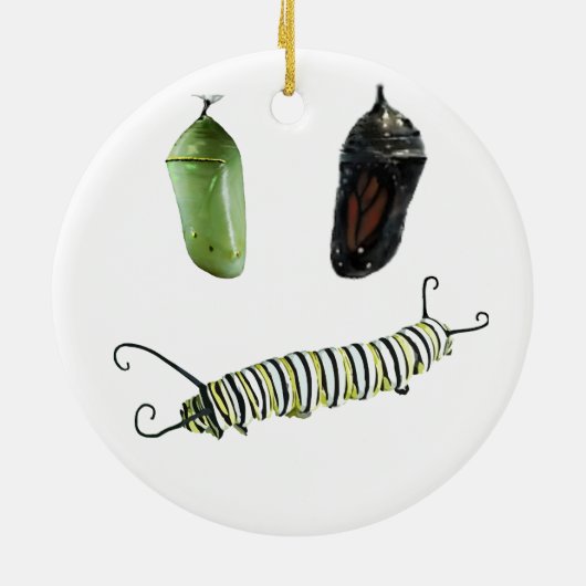 Keramische kerstsiermonbooglevenscyclus keramisch ornament (Achterkant)