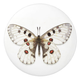 Keramische Knob - wit, bruin en Oranje Knop