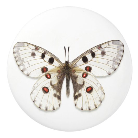 Keramische Knob - wit, bruin en Oranje Knop (Voorkant)