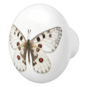 Keramische Knob - wit, bruin en Oranje Knop (Rechts)