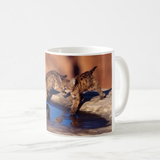 Keramische koffie-Mok-Cougar-kubussen Koffiemok (Voorkant rechts)