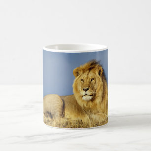 Keramische koffie-Mok-lion Koffiemok