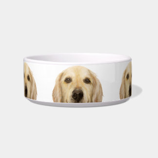 Keramische Pet Bowl/ gouden rugleuning Voerbakje