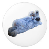 Keramische romp keramische knop (Voorkant)