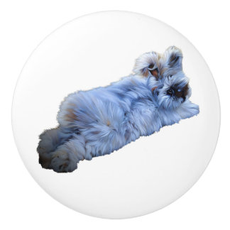 Keramische romp keramische knop