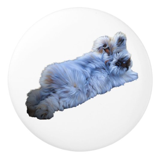 Keramische romp keramische knop (Voorkant)