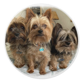 Keramische romp knop