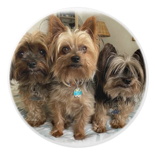 Keramische romp knop (Voorkant)