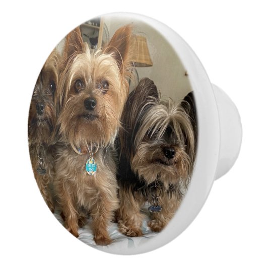 Keramische romp knop (Rechts)