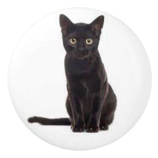 Keramische schedel met een zwarte kat knop (Voorkant)