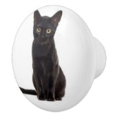 Keramische schedel met een zwarte kat knop (Rechts)