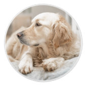 Keramische schedel met portret van Golden Retrieve Keramische Knop (Voorkant)