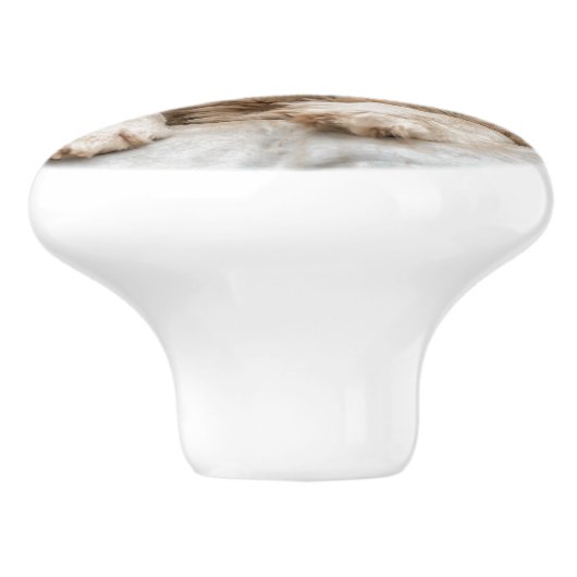 Keramische schedel met portret van Golden Retrieve Keramische Knop (Zijkant)