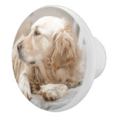 Keramische schedel met portret van Golden Retrieve Keramische Knop (Rechts)