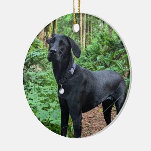  keramische siervoorwerpen keramisch ornament (Links)