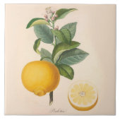 Keramische Sinaasappel met springstaarten Tegeltje (Voorkant)