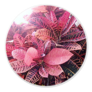 Keramische splash kleuren trekken knop