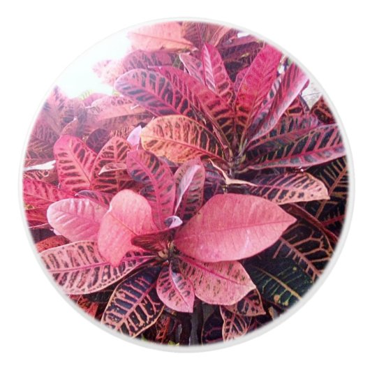 Keramische splash kleuren trekken knop (Voorkant)