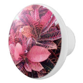 Keramische splash kleuren trekken knop (Rechts)