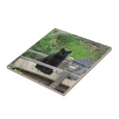 Keramische tapijtegel met zwarte kat tegeltje (Zijkant)