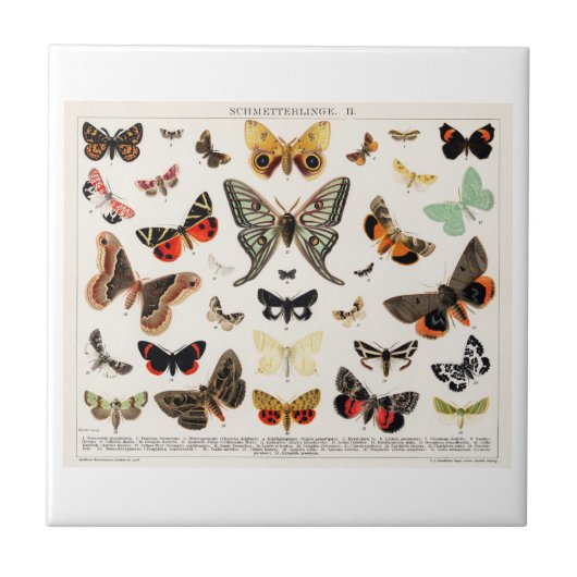 KERAMISCHE TEGEL : ANTIEK KOPSTROOM LITHOGRAAF TEGELTJE (Voorkant)